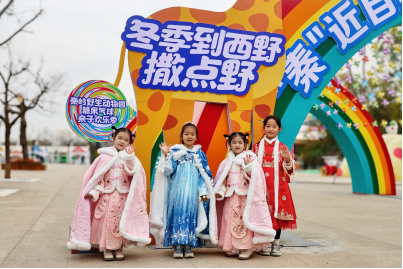 xpbphvMPW7rNSlhJ.png image.png