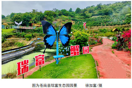 浙江金融實(shí)踐：躬耕山海間，初心暖甌越