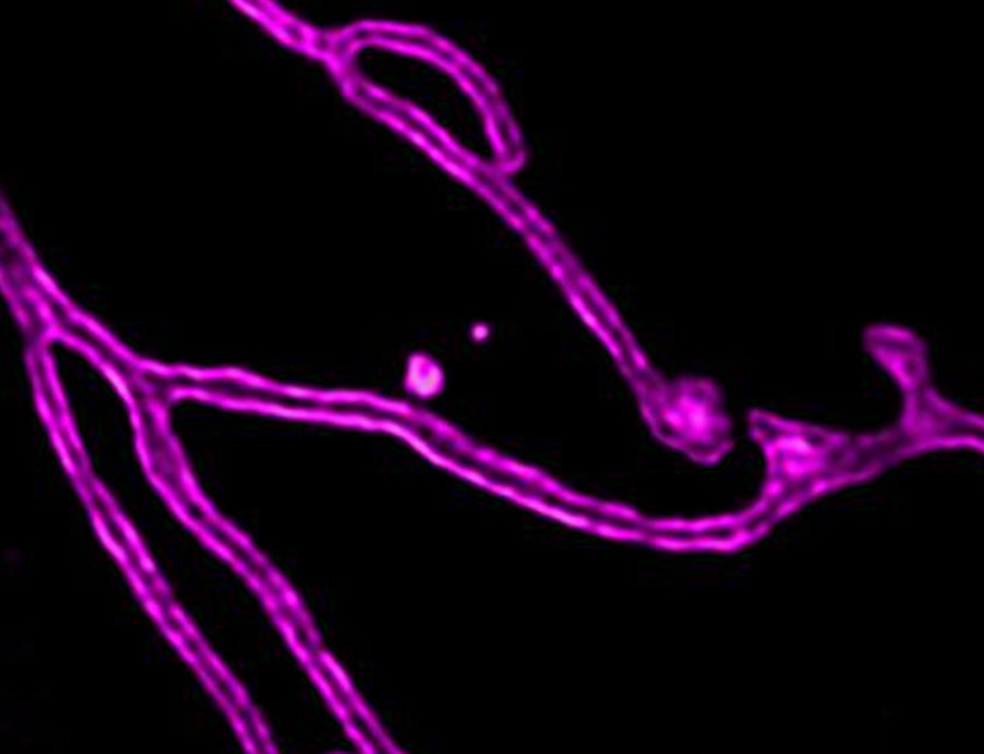 1761097850341672.png 1761097850341672.png